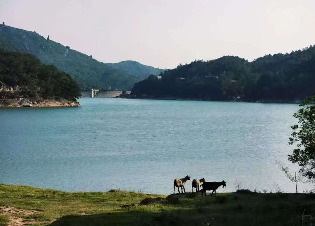 梨洞水库