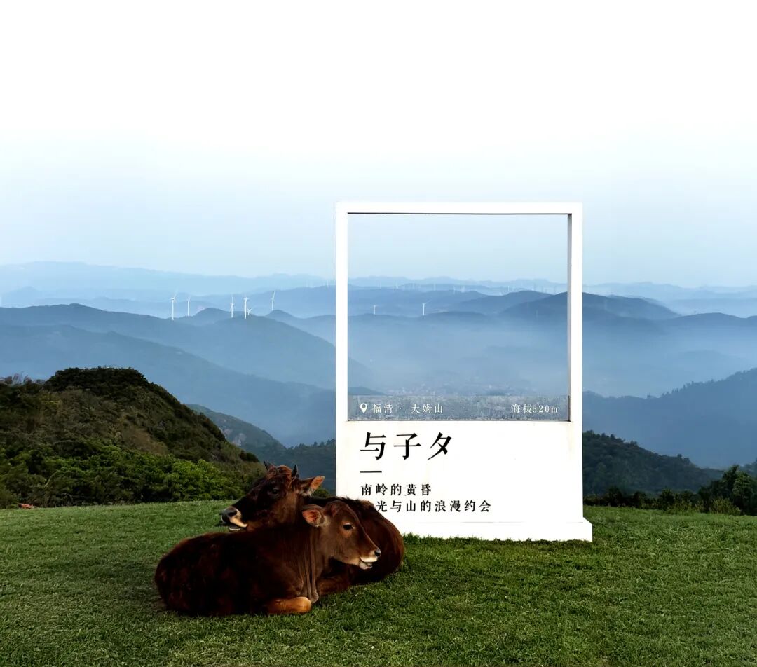 “大山影遇，风物南岭”摄影大赛网络海选投票开启！一等奖