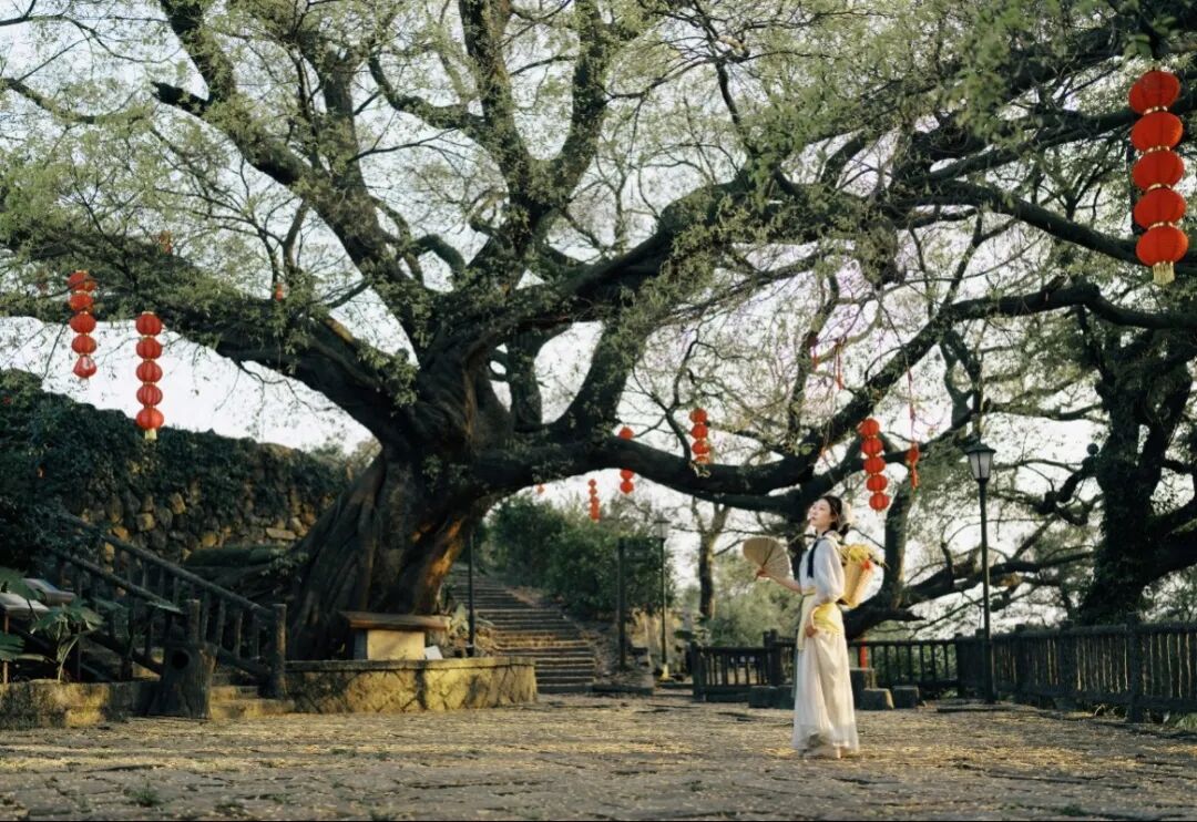 在南岭，你是哪种夏日旅行家？